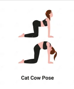 cat cow pose