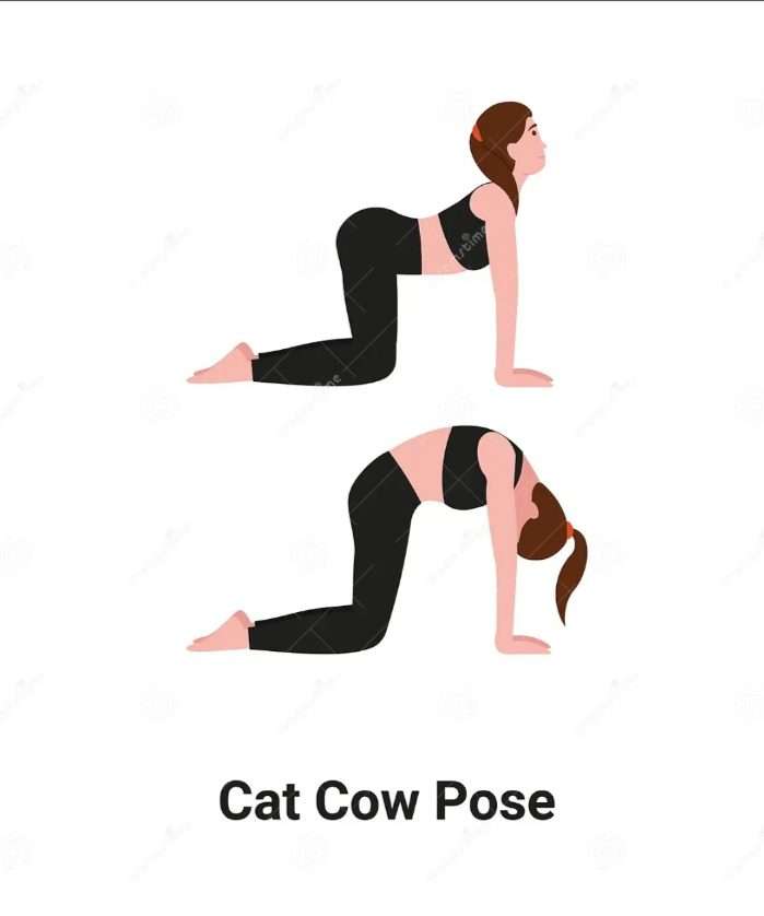 cat-cow pose of yoga